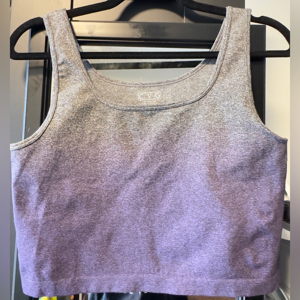 CVC Purple Ombre Crop Top